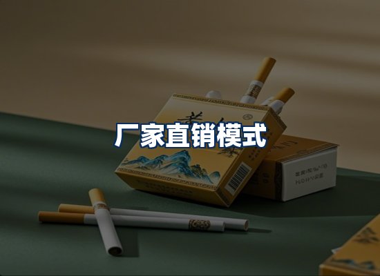专业团队办公环境